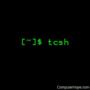Using the tcsh command (with examples).
